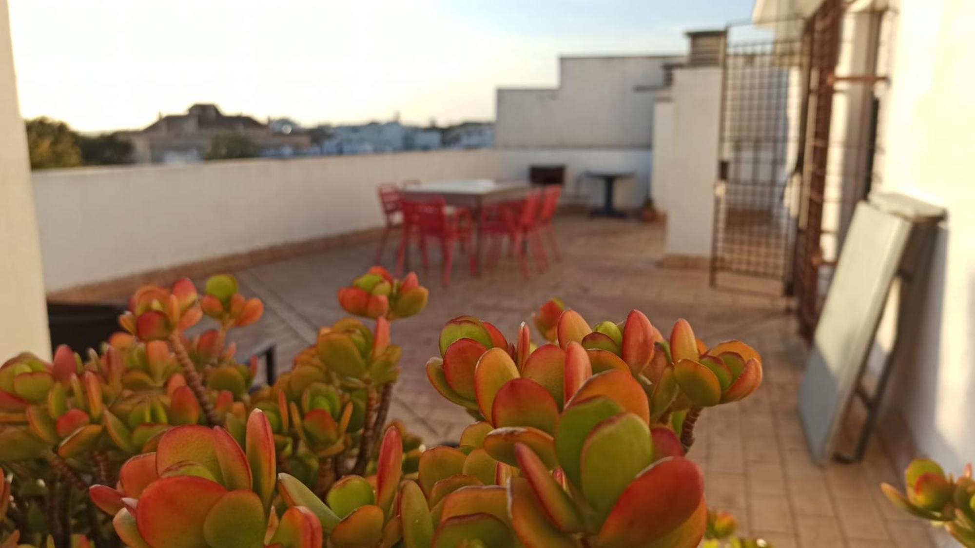 Atardeceres Surenos - Gran Terraza - Parking 헤레스 외부 사진